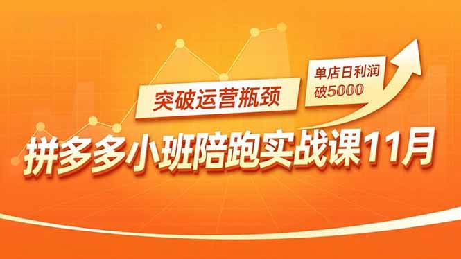 (11.25)拼多多小班陪跑实战课11月，强付费矩阵、原价活动、暗券引流，突破运营瓶颈，单店日利润破5000