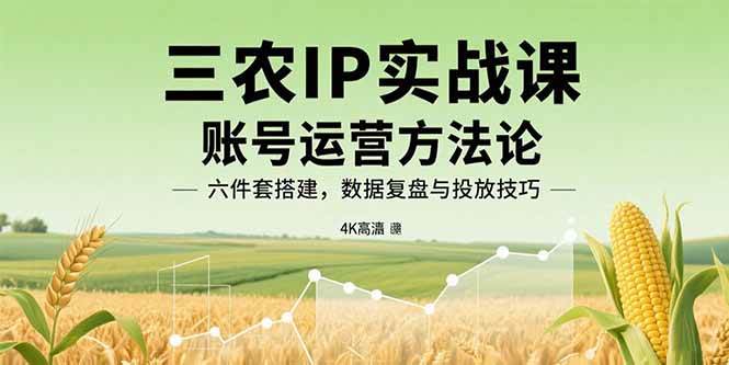 (11.24)三农IP实战课：账号运营方法论，六件套搭建，数据复盘与投放技巧